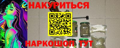 крисы Новокубанск