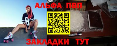 крисы Новокубанск