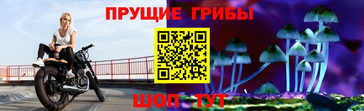 Топки  Галлюциногенные грибы Psilocybine cubensis  Вход с VPN 